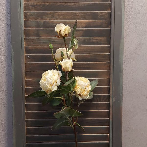 Rozentak met 5 bloeiende rozen in een crème witte kleur, van het merk Brynxz.