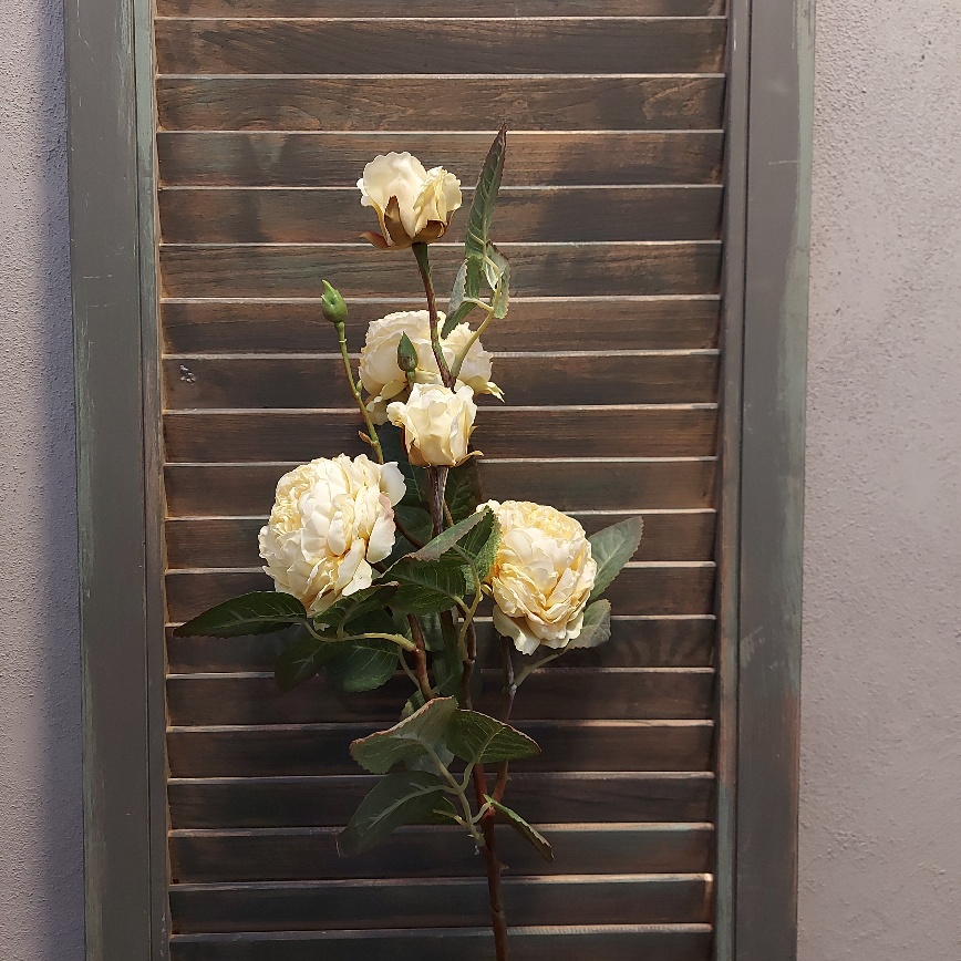 Rozentak met 5 bloeiende rozen in een crème witte kleur, van het merk Brynxz.