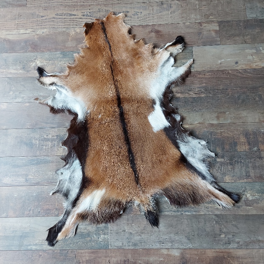 Decoratief geitenvacht in een bruin bonte kleur, gemaakt van soepel leer een zacht geitenhaar.