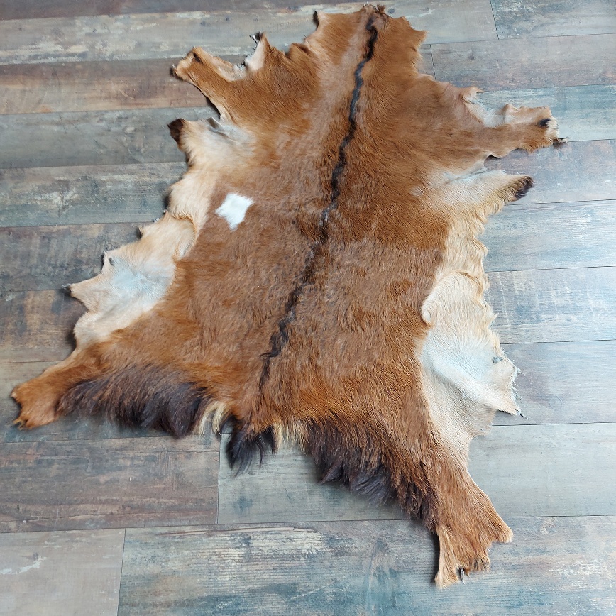 Decoratief geitenvacht in een bruine kleur, gemaakt van soepel leer een zacht geitenhaar.