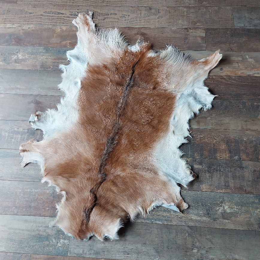 Decoratief geitenvacht in een licht bruine kleur, gemaakt van soepel leer een zacht geitenhaar.