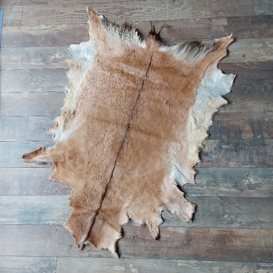 Decoratief geitenvacht in een licht bruine kleur, gemaakt van soepel leer een zacht geitenhaar.
