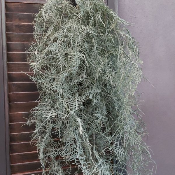 Varen kunstplant met lange takken grijsgroen blad, van het merk Countryfield.