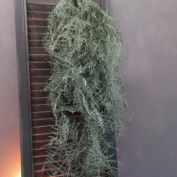 Varen kunstplant met lange takken grijsgroen blad, van het merk Countryfield.