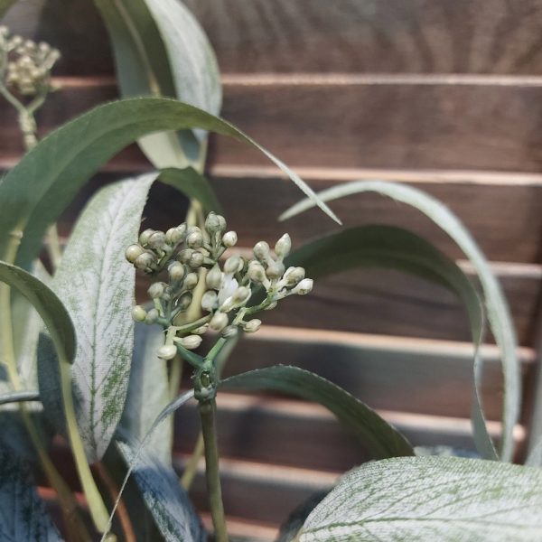 Bosje met 5 Eucalyptus kunsttakken van het merk Countryfield, met spits donkergroen blad.