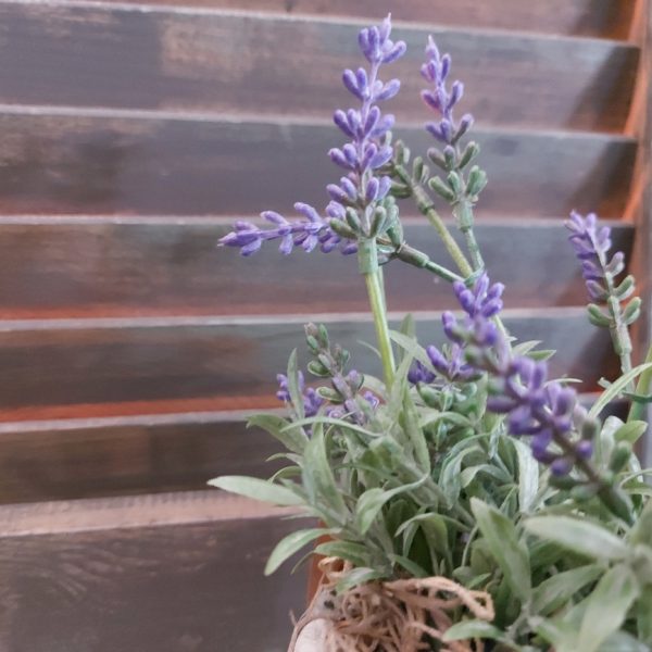 Kunst lavendel plant in een aardewerk potje.