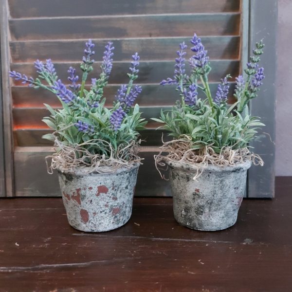 Potje met lavendel - H.19cm - Afbeelding 4