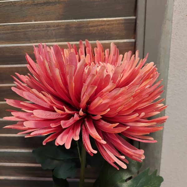 Chrysant zijdenbloem in een fuchsia roze kleur, met een bloem van 18 cm doorsnede, van het merk Mansion Atmosphere.
