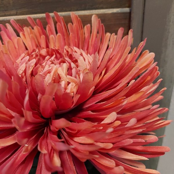 Chrysant zijdenbloem in een fuchsia roze kleur, met een bloem van 18 cm doorsnede, van het merk Mansion Atmosphere.