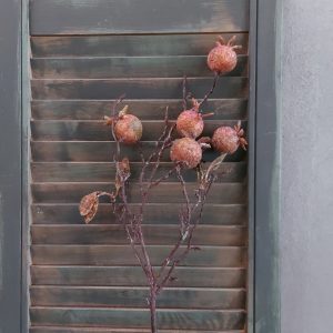 Tak met kunst rozenbottels in een oranjebruine kleur, van het merk Brynxz.