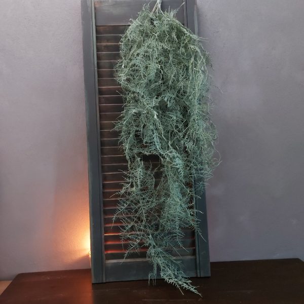 Varen kunstplant met lange takken grijsgroen blad, van het merk Countryfield.