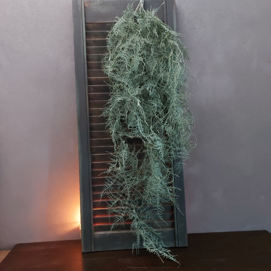 Varen kunstplant met lange takken grijsgroen blad, van het merk Countryfield.