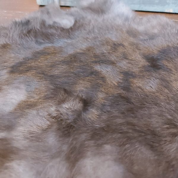 Vacht van een konijn om mee te decoreren in donker bruine kleurtinten.