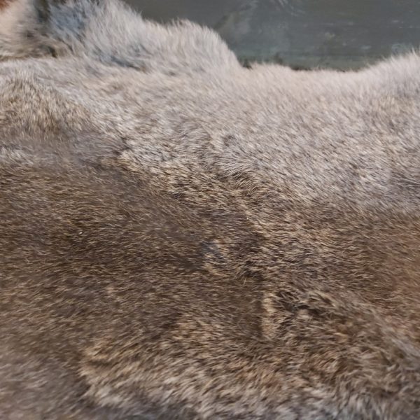 Vacht van een konijn om mee te decoreren in bruine kleurtinten.