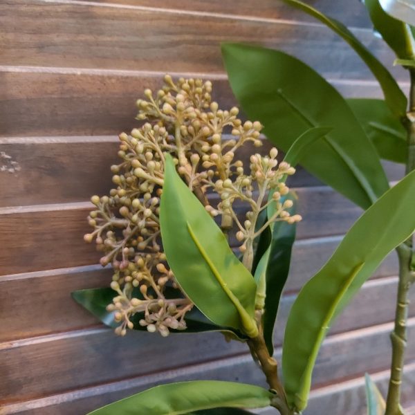 Skimmia kunstbloem met zacht roze bloemen, van het merk Countryfield.