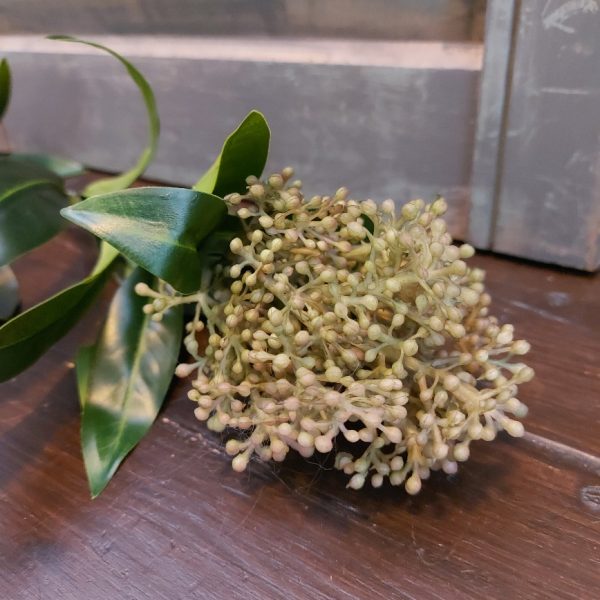 Skimmia kunstbloem met zacht roze bloemen, van het merk Countryfield.