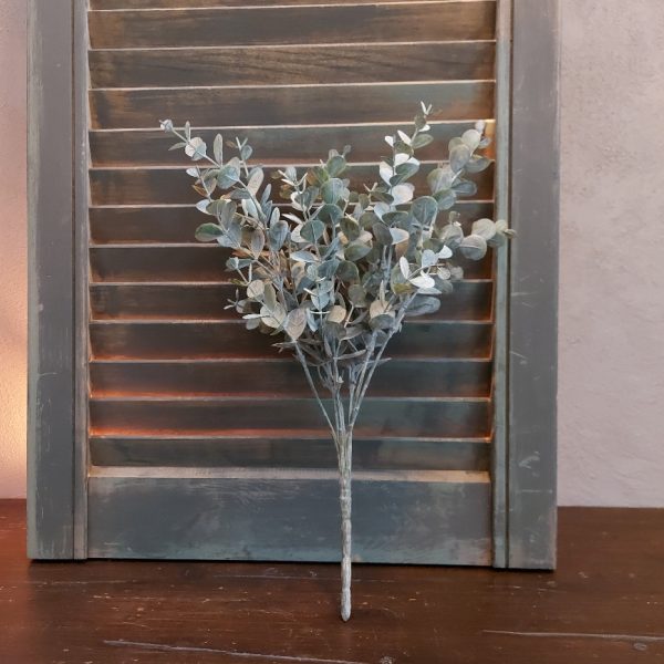 Eucalyptus kunstplant met ronde grijs groene blaadjes van het merk Countryfield