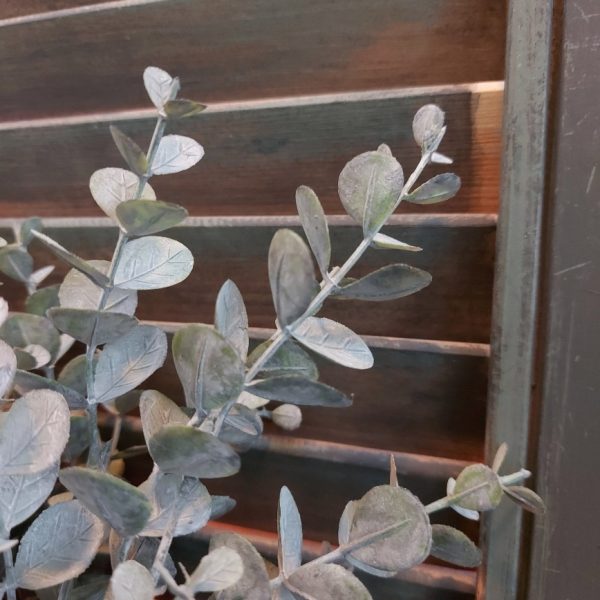 Eucalyptus kunstplant met ronde grijs groene blaadjes van het merk Countryfield