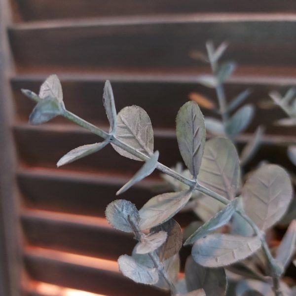 Eucalyptus kunstplant met ronde grijs groene blaadjes van het merk Countryfield