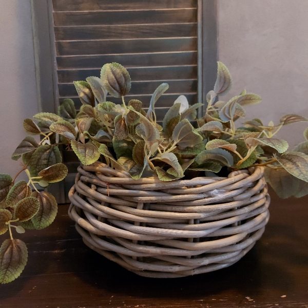 Ronde mand van rattan voor planten.