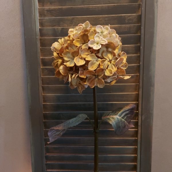 Hortensia zijdenbloem in een zachte crèmekleur, van het merk Brynxz.