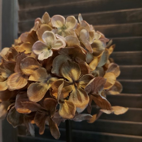 Hortensia zijdenbloem in een zachte crèmekleur, van het merk Brynxz.