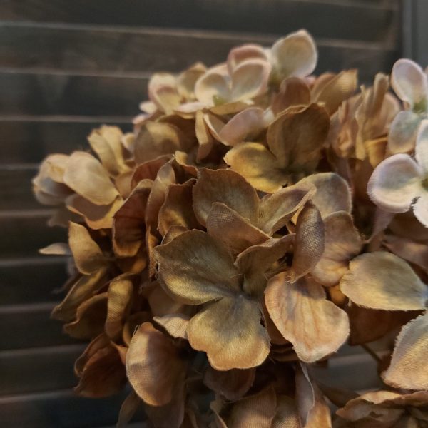 Hortensia zijdenbloem in een zachte crèmekleur, van het merk Brynxz.