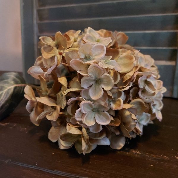Hortensia zijdenbloem in een zachte crèmekleur, van het merk Brynxz.