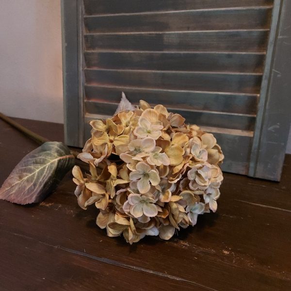 Brynxz - Hortensia zijdenbloem - Crème - L.70cm - Afbeelding 6
