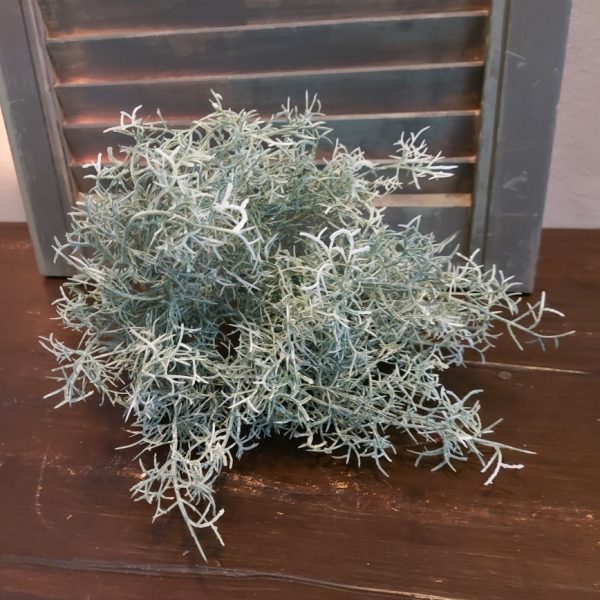 Tillandsia kunstplant met grijs groene blaadjes van het merk Countryfield.