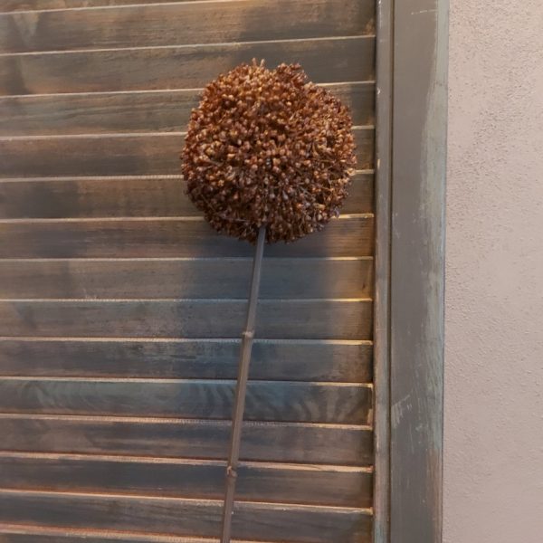 Bruine sierui kunstbloem met een bloem van 10 cm doorsnede van het merk Countryfield.