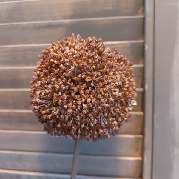 Bruine sierui kunstbloem met een bloem van 10 cm doorsnede van het merk Countryfield.