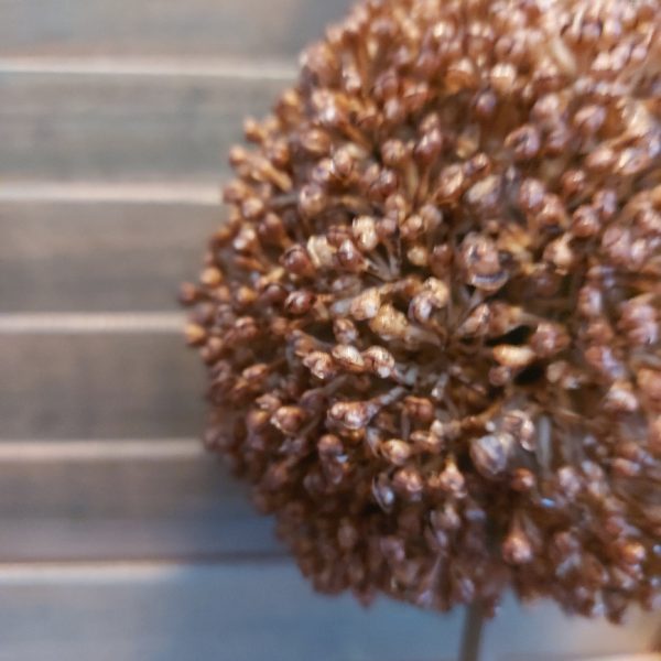 Bruine sierui kunstbloem met een bloem van 10 cm doorsnede van het merk Countryfield.