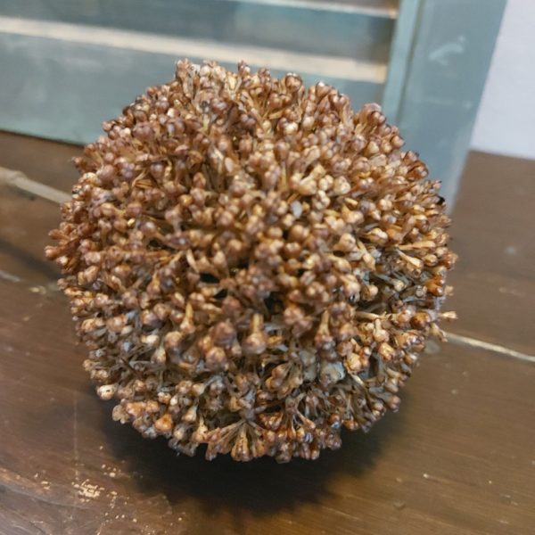 Bruine sierui kunstbloem met een bloem van 10 cm doorsnede van het merk Countryfield.