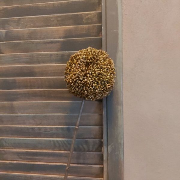 Groene sierui kunstbloem met een bloem van 10 cm doorsnede van het merk Countryfield.