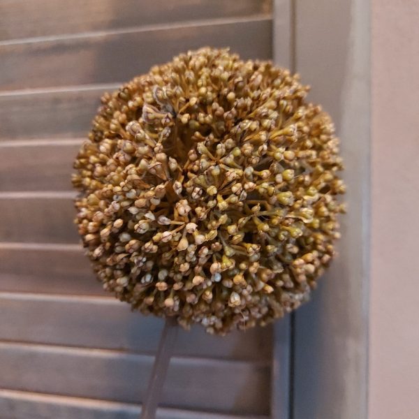 Groene sierui kunstbloem met een bloem van 10 cm doorsnede van het merk Countryfield.