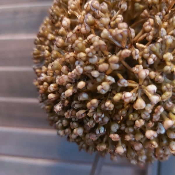 Groene sierui kunstbloem met een bloem van 10 cm doorsnede van het merk Countryfield.
