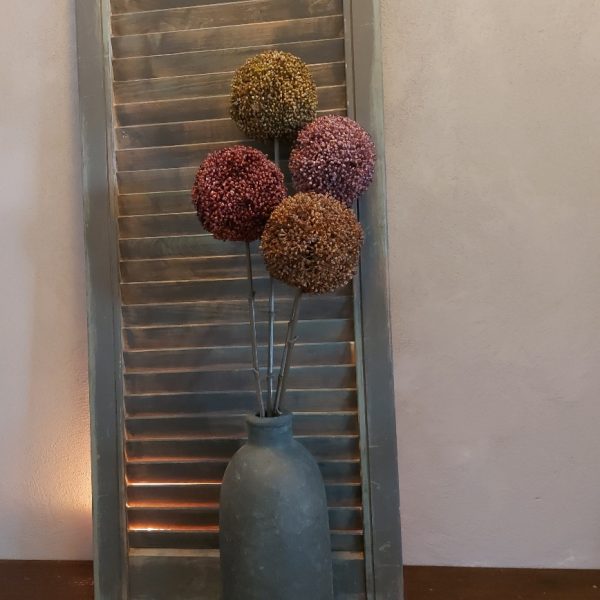 Vier kleuren Allium bloemen in een voordeel set, van het merk Countryfield.