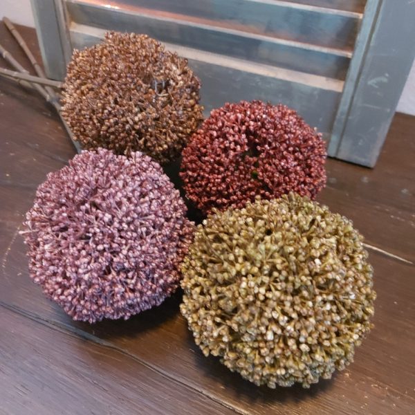 Countryfield - Allium - Groen - L.65cm - Afbeelding 4
