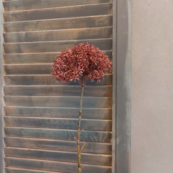 Leverkruid kunstbloem met een rode bloem, van het merk Countryfield.