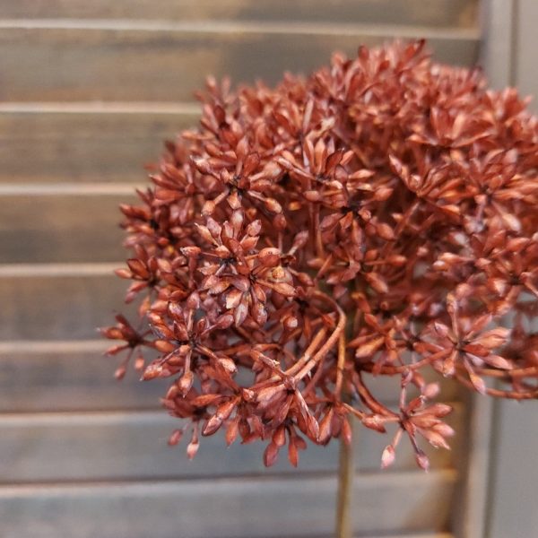 Leverkruid kunstbloem met een rode bloem, van het merk Countryfield.