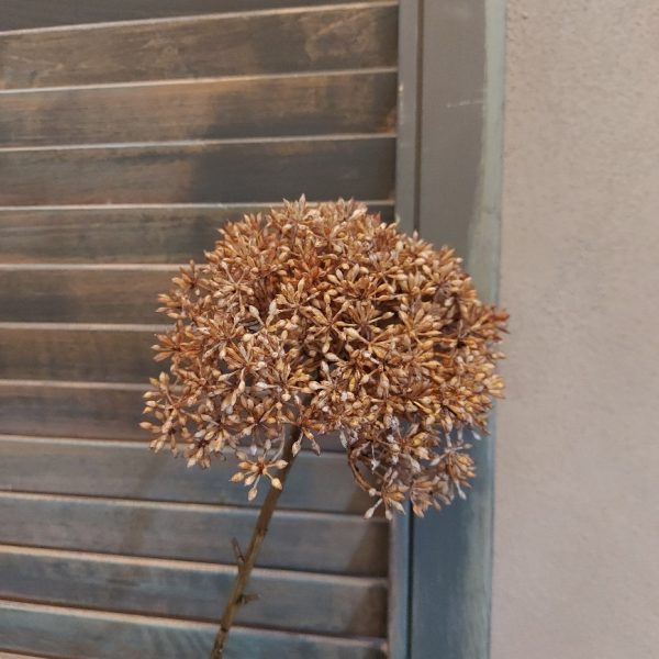 Leverkruid kunstbloem in een bruine kleur, van het merk Countryfield.