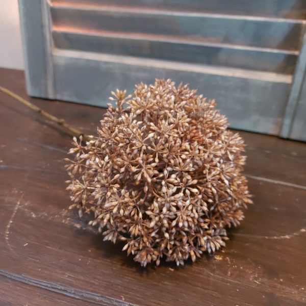 Leverkruid kunstbloem in een bruine kleur, van het merk Countryfield.