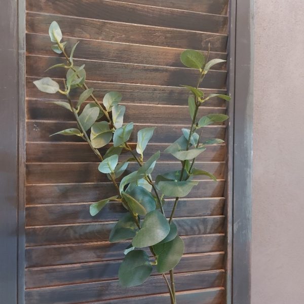 Eucalyptus kunsttak met rond groen blad van het merk Countryfield.