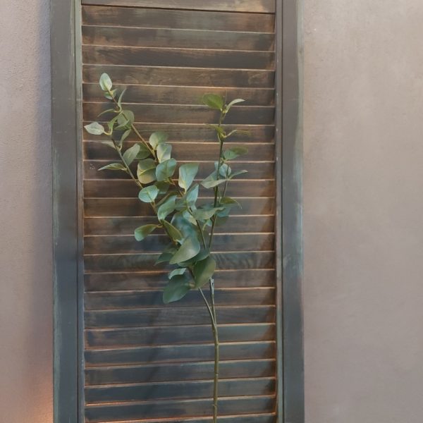 Eucalyptus kunsttak met rond groen blad van het merk Countryfield.