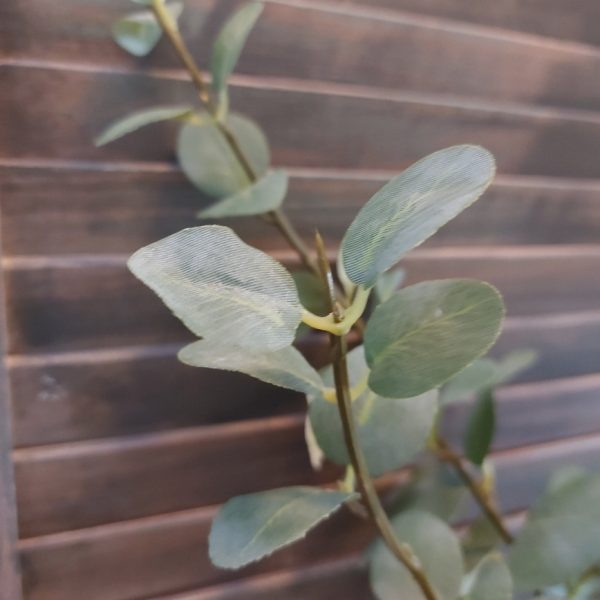 Eucalyptus kunsttak met rond groen blad van het merk Countryfield.