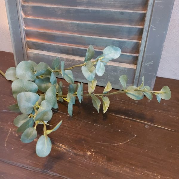 Eucalyptus kunsttak met rond groen blad van het merk Countryfield.