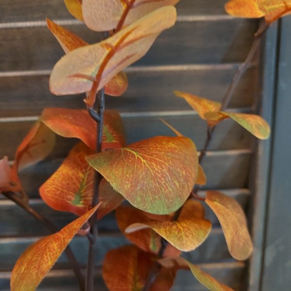 Eucalyptus kunsttak met rond blad in herfstkleuren van het merk Countryfield.