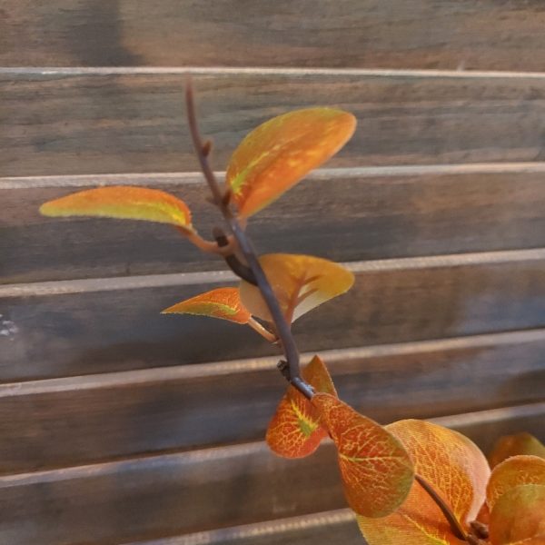 Eucalyptus kunsttak met rond blad in herfstkleuren van het merk Countryfield.