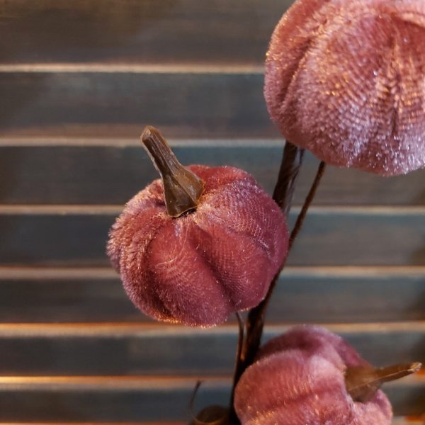 Tak met 6 velours pompoenen in een donkere lila kleur, van het merk Countryfield.